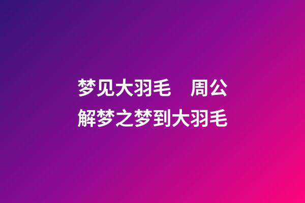 梦见大羽毛　周公解梦之梦到大羽毛